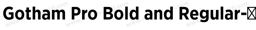 Gotham Pro Bold and Regular字体转换